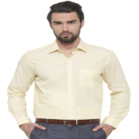 Peter England Men Yellow Regular Fit Solid Formal Shirt