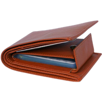 Friends & Company Pure Leather Album Tan Men'S Slim Wallet With Card Holder And Coin Pocket (Tan)