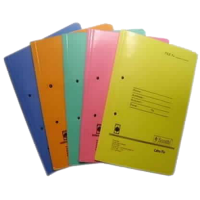 Excel Paper Paper Cobra Files With Spring Inside(Pack Of 10)  