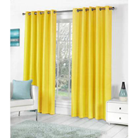 Achintya Polyester Door Curtain
