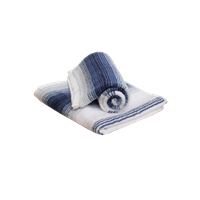 Avira Home Unisex Set of 2 Blue & Grey Striped 535 GSM Hand Towels