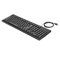 Hp 100 Wired Usb Desktop Keyboard  (Black)