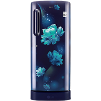 LG 235 L 4 Star Direct-Cool Single Door Refrigerator