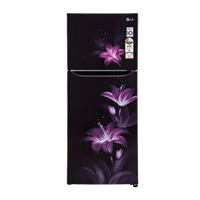 LG GL-N292BPGY 260 Liters 2 Star Double Door Refrigerator