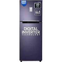 SAMSUNG 236 L Frost Free Double Door 2 Star Refrigerator with Digital Inverter